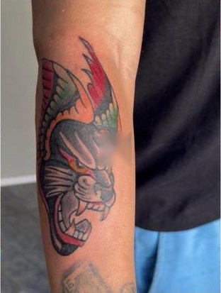Color traditional dragon head forearm tattoo by Aaron Raines