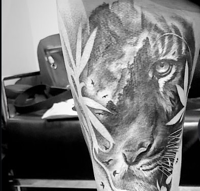 Black and grey tiger realism piece